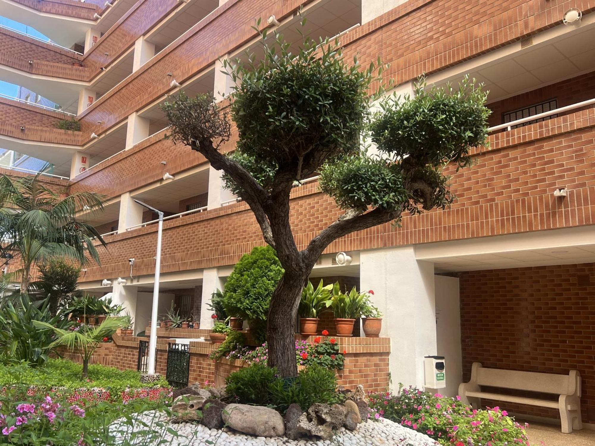 Apartamentos Marina Park オロペサ・デル・マール エクステリア 写真